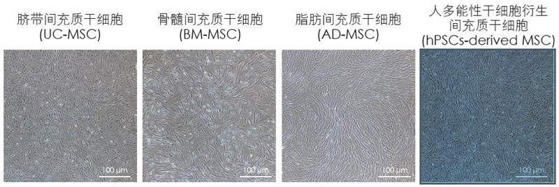 【逛展會零距離】“渝”您共赴中國細胞生物學(xué)學(xué)會2021年全國學(xué)術(shù)大會