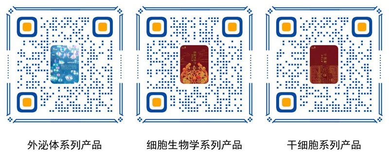 產(chǎn)品數(shù)據(jù)二維碼