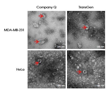 【逛展會零距離】“渝”您共赴中國細胞生物學(xué)學(xué)會2021年全國學(xué)術(shù)大會