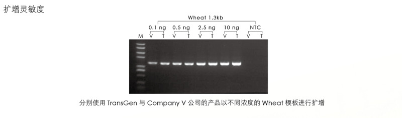 新產(chǎn)品2×TransStart GoldPfu PCR SuperMix上市