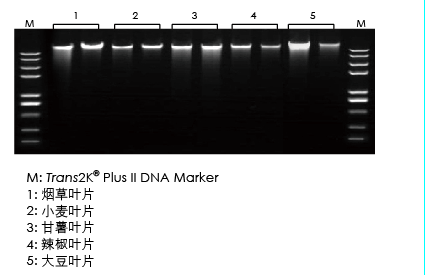 【展會零距離】2021全國植物生物學(xué)大會 【展會零距離】2021全國植物生物學(xué)大會