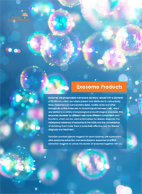 外泌體產(chǎn)品