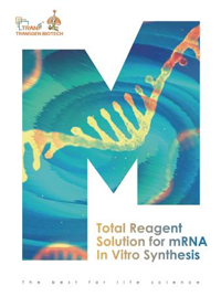 mRNA體外合成解決方案