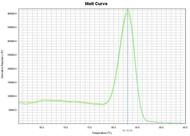 圖片2.png 圖片2.png