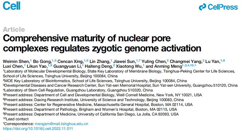 清華大學生命科學學院孟安明院士課題組揭示核孔復合體調(diào)控合子基因組激活新機制,全式金 清華大學生命科學學院孟安明院士課題組揭示核孔復合體調(diào)控合子基因組激活新機制,全式金