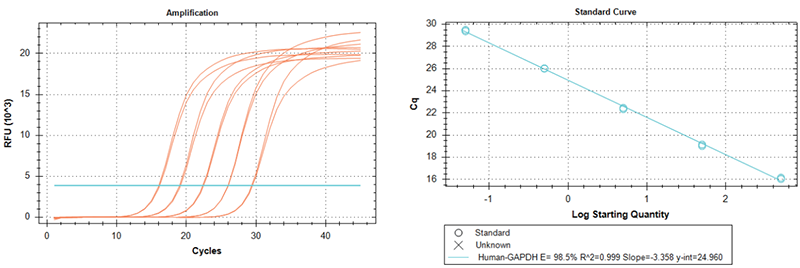 使用TransGen產(chǎn)品以不同起始量RNA（500 ng-50 pg，10倍梯度稀釋）為模板進(jìn)行  反轉(zhuǎn)錄后定量擴(kuò)增GAPDH基因。結(jié)果表明，TransGen產(chǎn)品反轉(zhuǎn)錄效率高，線性范圍廣。