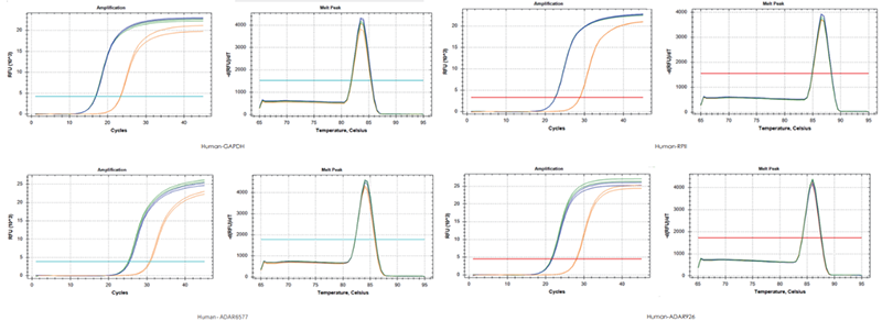 使用TransGen產(chǎn)品，以200 ng RNA、200 ng RNA+200 ng gDNA、200 ng gDNA為  模板進(jìn)行反轉(zhuǎn)錄后定量擴(kuò)增不同基因。結(jié)果表明，TransGen產(chǎn)品具有強(qiáng)的gDNA去除能力。