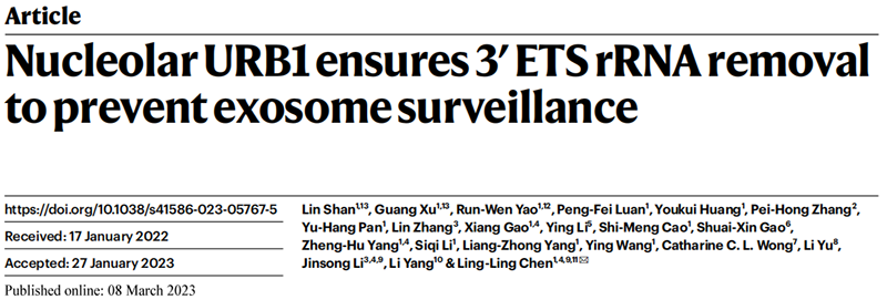 助力科研，全式金Trans1-T1化學(xué)感受態(tài)細(xì)胞榮登Nature