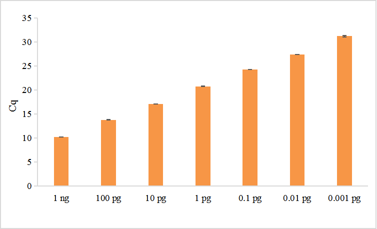 以梯度稀釋的1 ng質(zhì)粒DNA為模板，使用TransGen產(chǎn)品進行擴增。結(jié)果顯示，TransGen產(chǎn)品擴增靈敏度高。