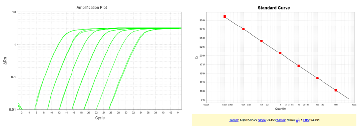 以梯度稀釋的質(zhì)粒DNA為模板，使用TransGen產(chǎn)品進行擴增。結(jié)果顯示，TransGen產(chǎn)品擴增效率高，可得到漂亮的擴增曲線和標準曲線。