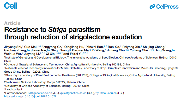 Resistance to Striga Parasitism through Reduction of Strigolactone Exudation