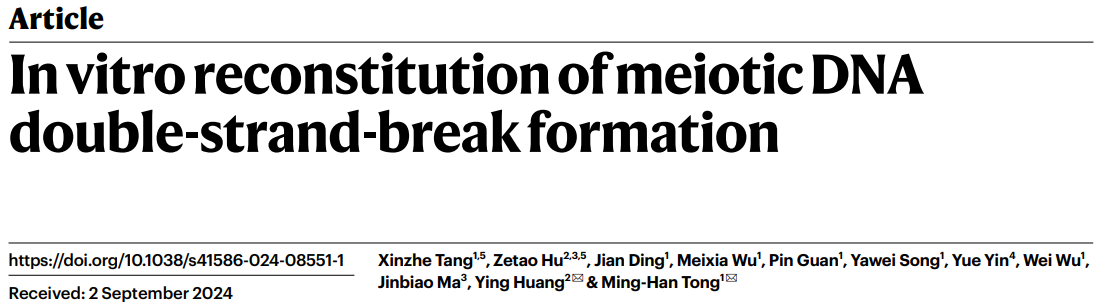 In vitro reconstitution of meiotic DNA double-strand break formation In vitro reconstitution of meiotic DNA double-strand break formation