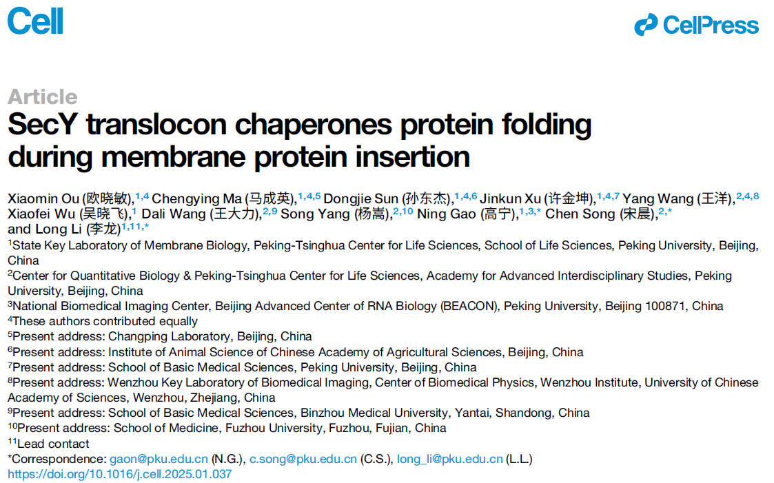 SecY translocon chaperones protein folding during membrane protein insertion SecY translocon chaperones protein folding during membrane protein insertion