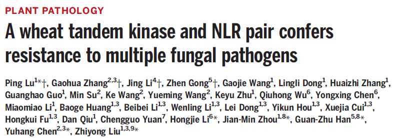 A wheat tandem kinase and NLR pair confers resistance to multiple fungal pathogens A wheat tandem kinase and NLR pair confers resistance to multiple fungal pathogens