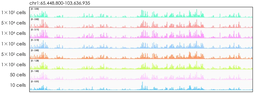 Peak位點準確有效