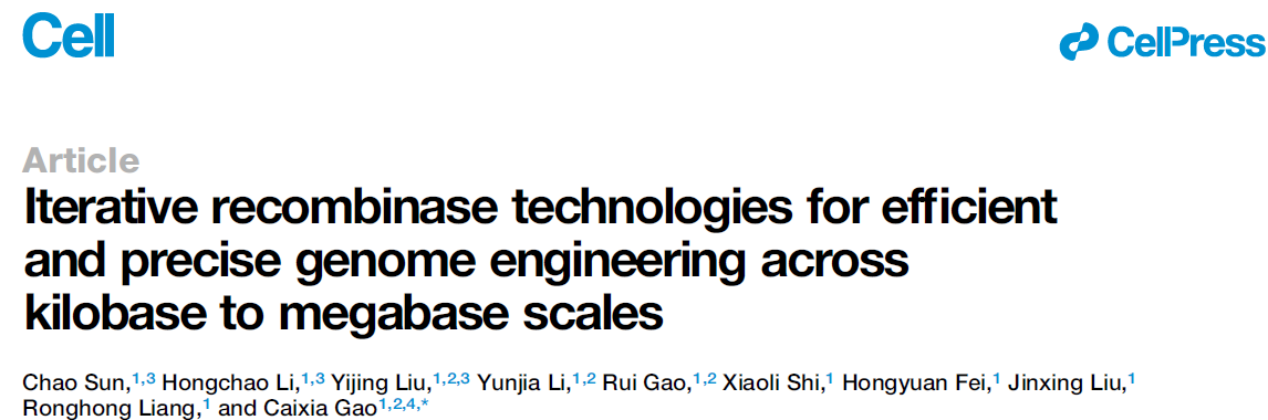 Iterative recombinase technologies for efficient and precise genome engineering across kilobase to megabase scales Iterative recombinase technologies for efficient and precise genome engineering across kilobase to megabase scales