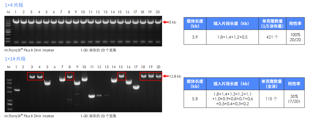 組裝效率高 組裝效率高