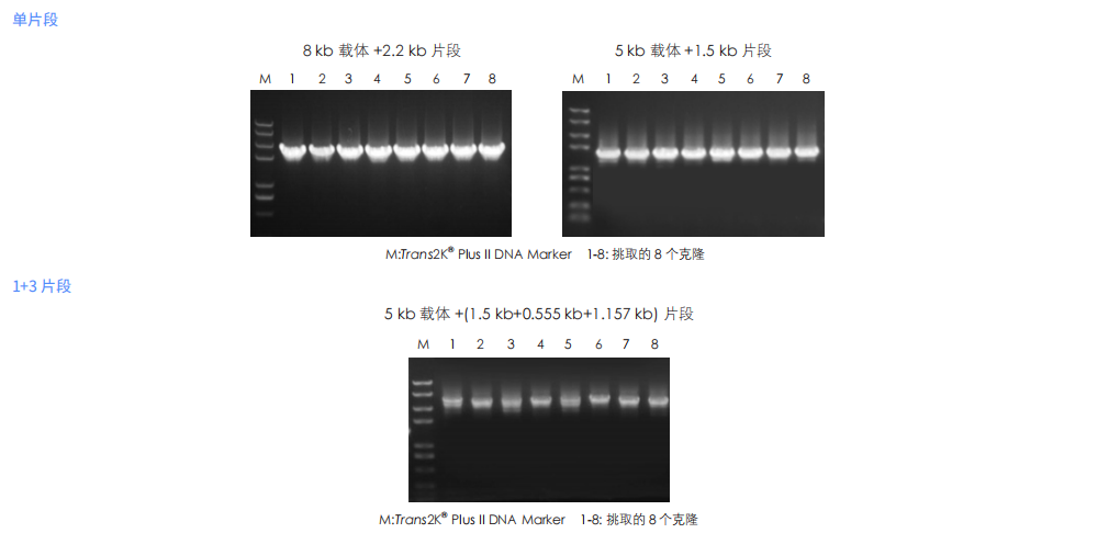 組裝效率高 組裝效率高