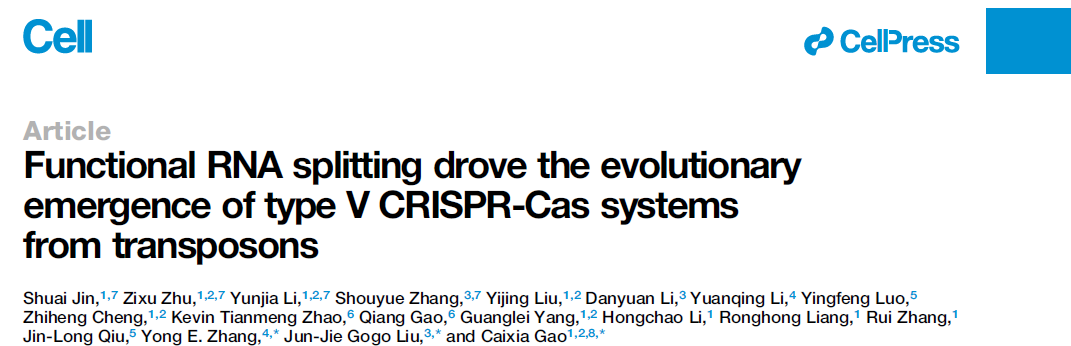 Functional RNA splitting drove the evolutionary emergence of type V CRISPR-Cas systems from transposons