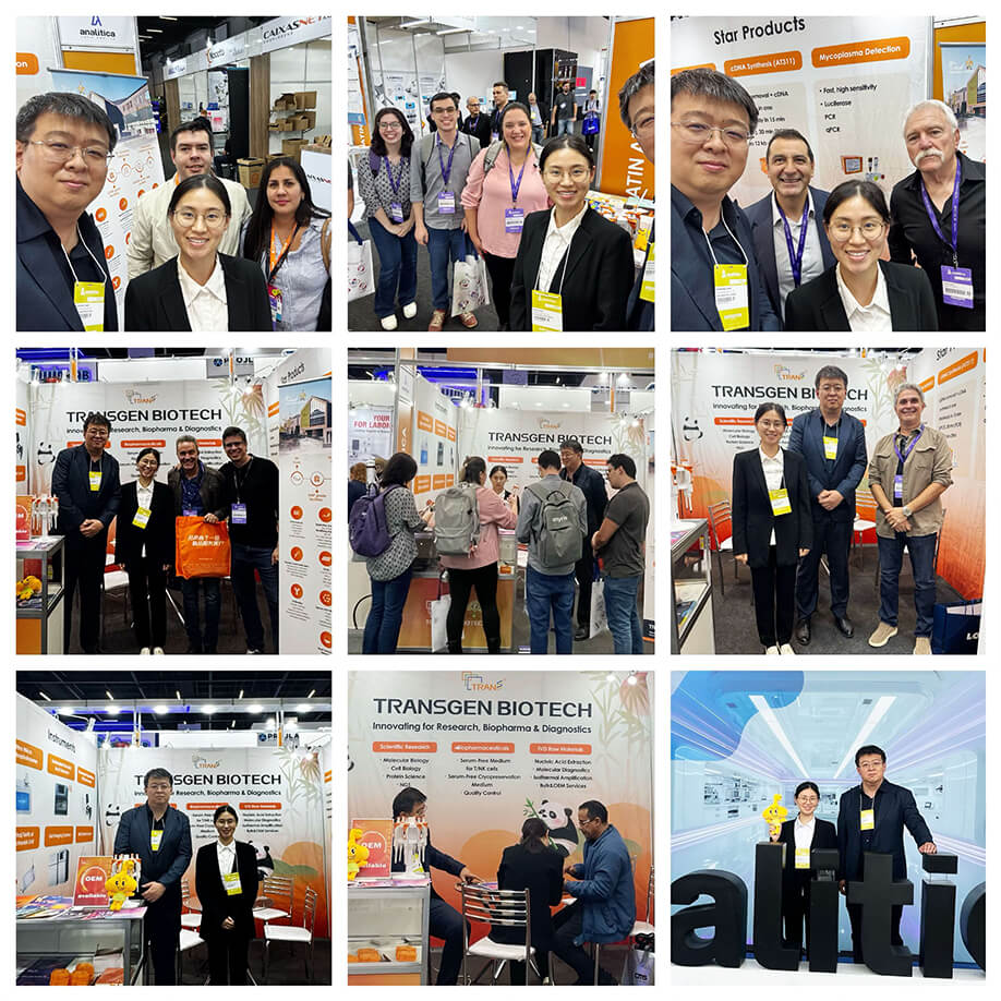 展會現場 展會現場