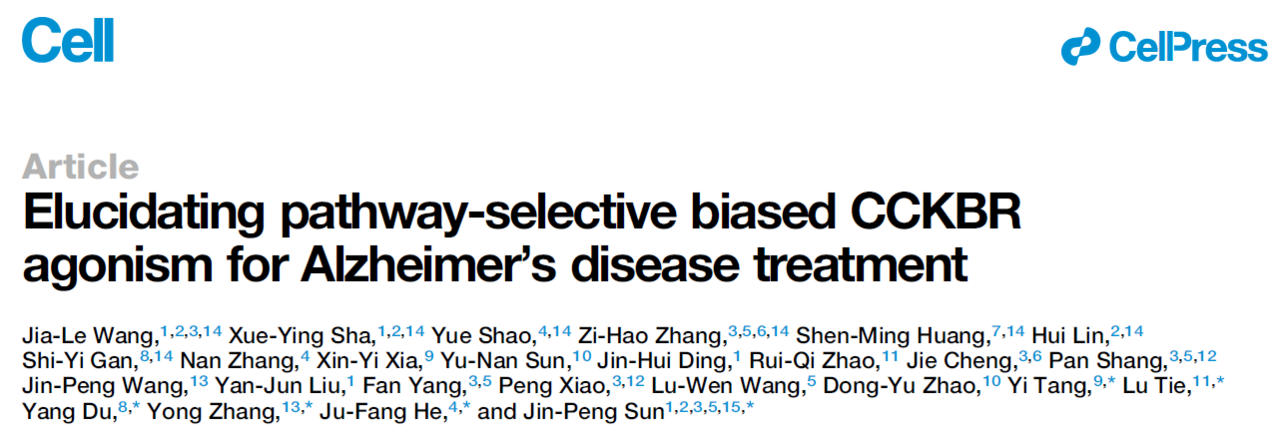 Elucidating pathway-selective biased CCKBR agonism for Alzheimer's disease treatment