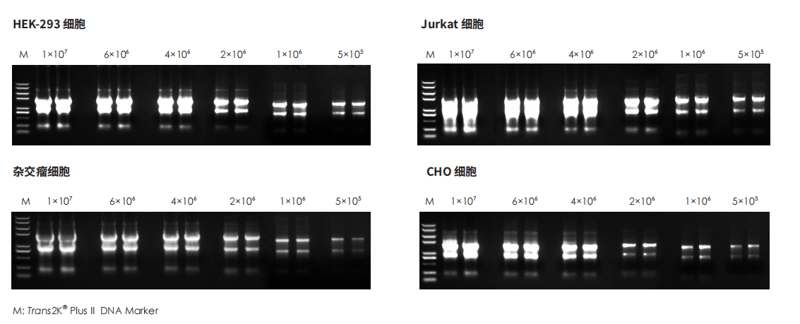 實(shí)驗(yàn)數(shù)據(jù)
