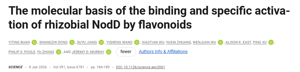 The molecular basis of the binding and specific activation of rhizobial NodD by flavonoids The molecular basis of the binding and specific activation of rhizobial NodD by flavonoids